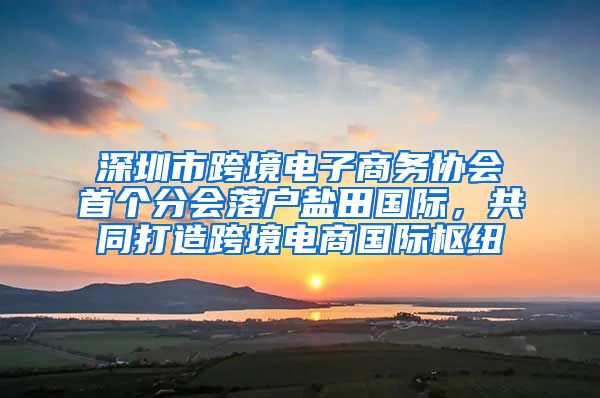 深圳市跨境電子商務(wù)協(xié)會首個(gè)分會落戶鹽田國際，共同打造跨境電商國際樞紐