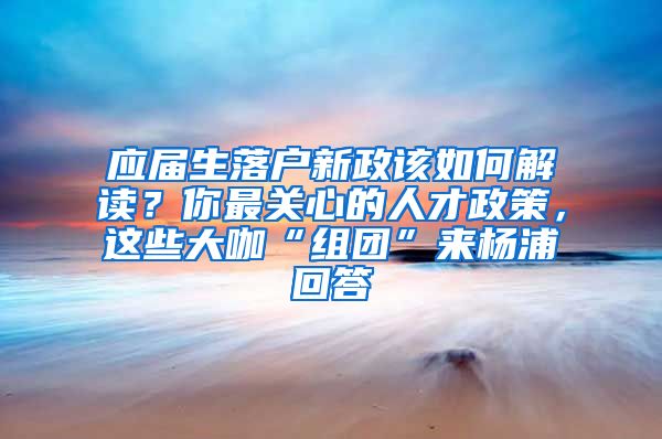 應屆生落戶新政該如何解讀？你最關心的人才政策，這些大咖“組團”來楊浦回答