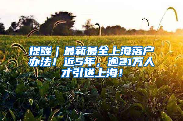 提醒｜最新最全上海落戶辦法！近5年，逾21萬人才引進(jìn)上海！