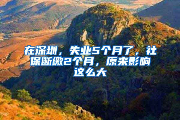 在深圳，失業(yè)5個(gè)月了，社保斷繳2個(gè)月，原來(lái)影響這么大