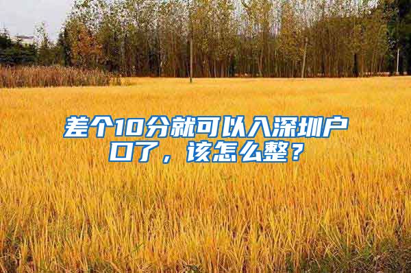 差個10分就可以入深圳戶口了，該怎么整？