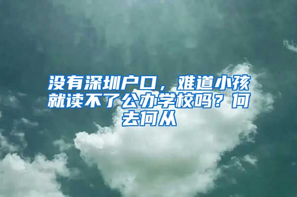 沒(méi)有深圳戶口，難道小孩就讀不了公辦學(xué)校嗎？何去何從