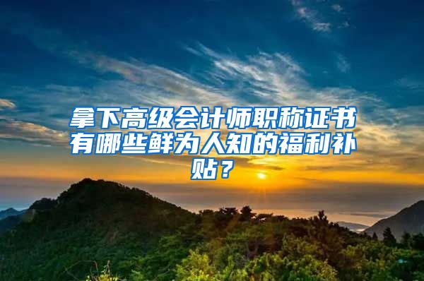 拿下高級(jí)會(huì)計(jì)師職稱(chēng)證書(shū)有哪些鮮為人知的福利補(bǔ)貼？