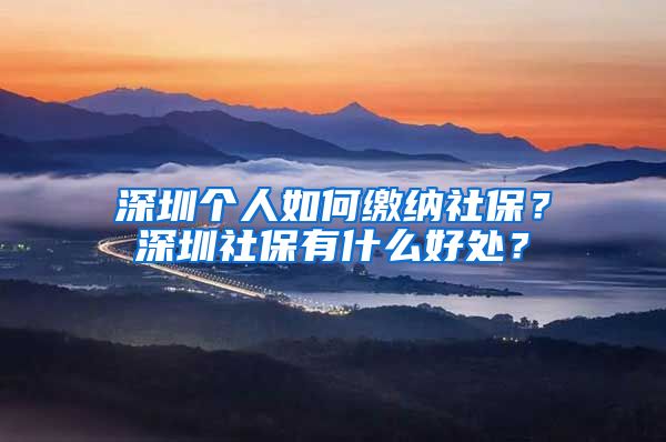 深圳個(gè)人如何繳納社保？深圳社保有什么好處？