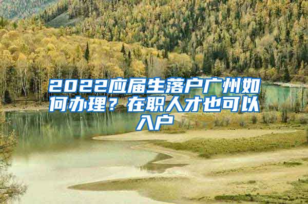 2022應屆生落戶廣州如何辦理？在職人才也可以入戶