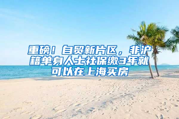 重磅！自貿(mào)新片區(qū)，非滬籍單身人士社保繳3年就可以在上海買房