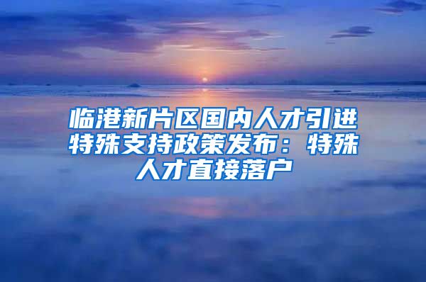 臨港新片區(qū)國內(nèi)人才引進特殊支持政策發(fā)布：特殊人才直接落戶