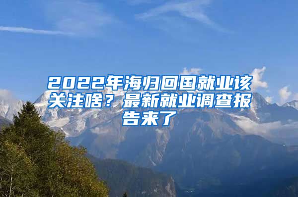 2022年海歸回國(guó)就業(yè)該關(guān)注啥？最新就業(yè)調(diào)查報(bào)告來了