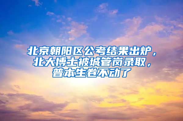 北京朝陽區(qū)公考結果出爐，北大博士被城管崗錄取，普本生卷不動了