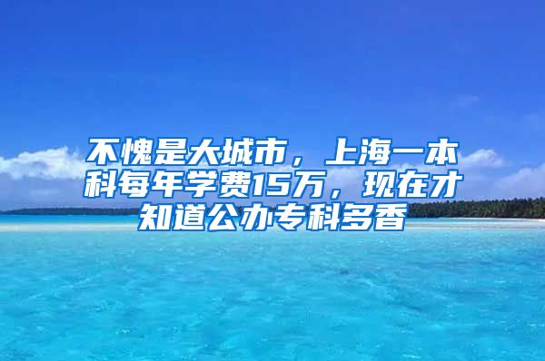 不愧是大城市，上海一本科每年學費15萬，現在才知道公辦?？贫嘞?/></p>
			 <p style=