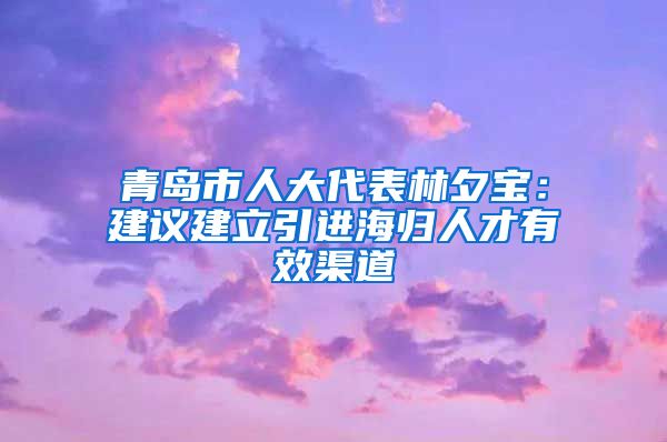 青島市人大代表林夕寶：建議建立引進(jìn)海歸人才有效渠道