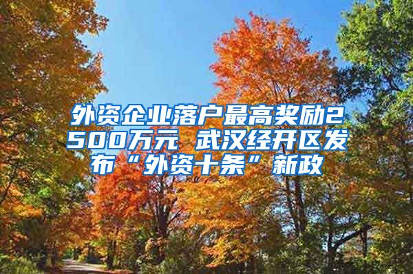 外資企業(yè)落戶最高獎勵2500萬元 武漢經(jīng)開區(qū)發(fā)布“外資十條”新政