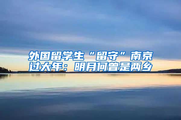 外國(guó)留學(xué)生“留守”南京過(guò)大年：明月何曾是兩鄉(xiāng)