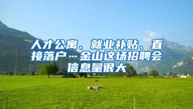 人才公寓、就業(yè)補(bǔ)貼、直接落戶…金山這場招聘會信息量很大