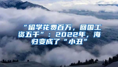 “留學(xué)花費(fèi)百萬，回國工資五千”：2022年，海歸變成了“小丑”