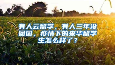 有人云留學(xué)，有人三年沒回國，疫情下的來華留學(xué)生怎么樣了？