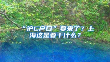 “滬C戶口”要來了？上海這是要干什么？