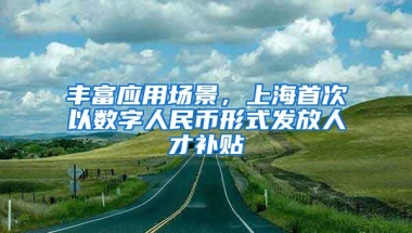 豐富應用場景，上海首次以數字人民幣形式發(fā)放人才補貼