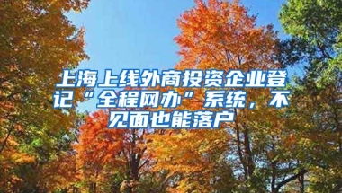 上海上線外商投資企業(yè)登記“全程網(wǎng)辦”系統(tǒng)，不見面也能落戶