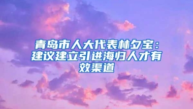 青島市人大代表林夕寶：建議建立引進海歸人才有效渠道