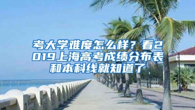 考大學難度怎么樣？看2019上海高考成績分布表和本科線就知道了