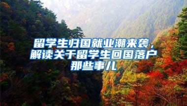 留學(xué)生歸國就業(yè)潮來襲，解讀關(guān)于留學(xué)生回國落戶那些事兒