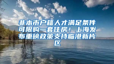 非本市戶籍人才滿足條件可限購(gòu)一套住房！上海發(fā)布重磅政策支持臨港新片區(qū)