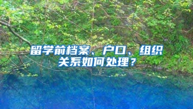 留學(xué)前檔案、戶口、組織關(guān)系如何處理？