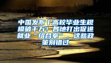 中國發(fā)布丨高校畢業(yè)生規(guī)模破千萬！各地打出促進就業(yè)“組合拳”，這些政策別錯過