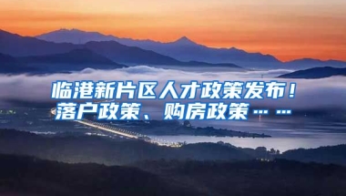 臨港新片區(qū)人才政策發(fā)布！落戶政策、購房政策……