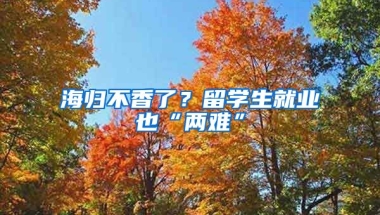 海歸不香了？留學生就業(yè)也“兩難”