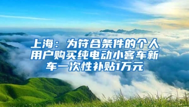 上海：為符合條件的個(gè)人用戶購(gòu)買純電動(dòng)小客車新車一次性補(bǔ)貼1萬(wàn)元