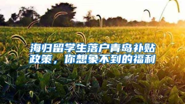 海歸留學(xué)生落戶青島補(bǔ)貼政策，你想象不到的福利