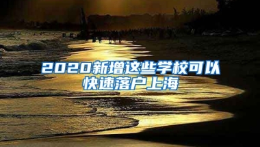 2020新增這些學(xué)校可以快速落戶上海