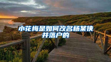 小花梅是如何改名楊某俠并落戶的