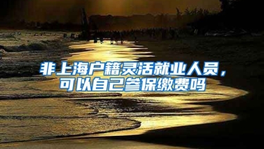 非上海戶籍靈活就業(yè)人員，可以自己參保繳費(fèi)嗎