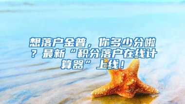 想落戶金普，你多少分啦？最新“積分落戶在線計算器”上線！