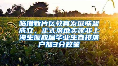 臨港新片區(qū)教育發(fā)展聯(lián)盟成立，正式落地實(shí)施非上海生源應(yīng)屆畢業(yè)生直接落戶加3分政策