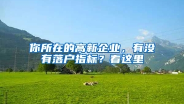 你所在的高新企業(yè)，有沒有落戶指標(biāo)？看這里