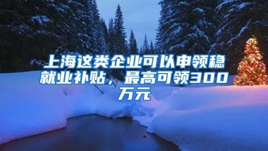 上海這類企業(yè)可以申領穩(wěn)就業(yè)補貼，最高可領300萬元