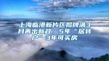 上海臨港新片區(qū)揭牌滿3月再出新政：5年“居轉(zhuǎn)戶”3年可買房