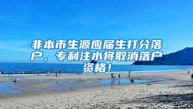 非本市生源應(yīng)屆生打分落戶，專利注水將取消落戶資格！