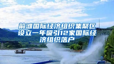 前灘國際經濟組織集聚區(qū)設立一年吸引12家國際經濟組織落戶