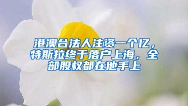 港澳臺(tái)法人注資一個(gè)億，特斯拉終于落戶上海，全部股權(quán)都在他手上