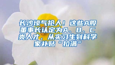 長沙壕氣搶人！這些A股董事長認(rèn)定為A、B、C類人才，從實習(xí)生到科學(xué)家補貼“拉滿”