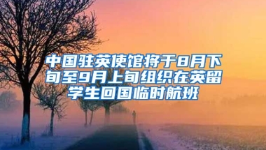 中國(guó)駐英使館將于8月下旬至9月上旬組織在英留學(xué)生回國(guó)臨時(shí)航班