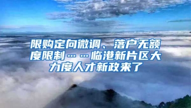 限購(gòu)定向微調(diào)、落戶無(wú)額度限制……臨港新片區(qū)大力度人才新政來(lái)了