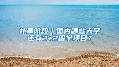 補錄階段｜國內(nèi)哪些大學還有2+2留學項目？