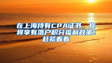 在上海持有CPA證書，你將享有落戶積分福利政策！趕緊看看