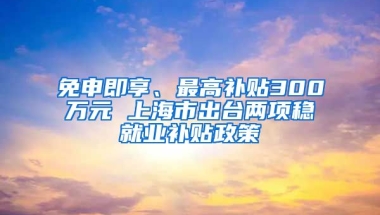 免申即享、最高補貼300萬元 上海市出臺兩項穩(wěn)就業(yè)補貼政策